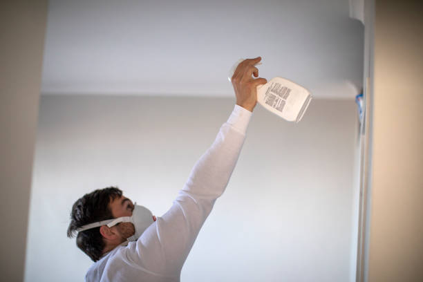 Office Mold Removal Services in Lenexa, KS