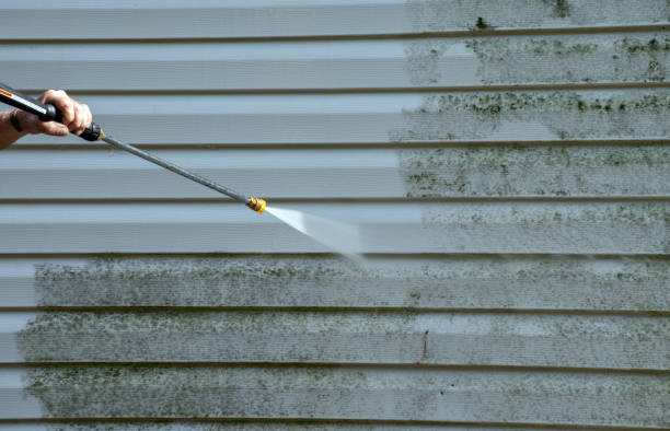 Best Commercial Mold Removal  in Lenexa, KS