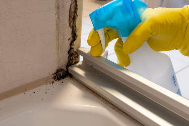Best Mold Testing  in Lenexa, KS