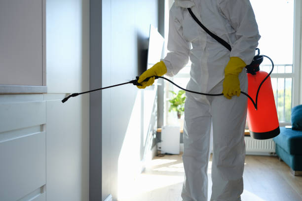 Mold Removal and Inspection in Lenexa, KS