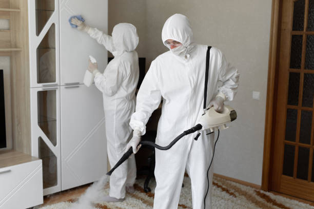 Home Mold Removal in Lenexa, KS
