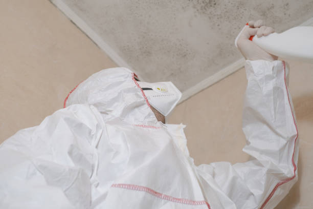 Lenexa, KS Mold Removal Company