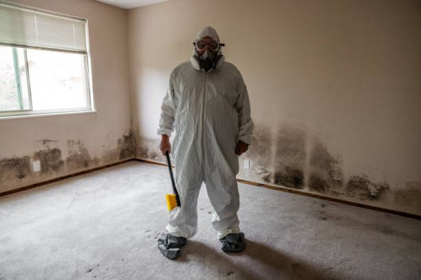 Lenexa, KS Mold Removal Company